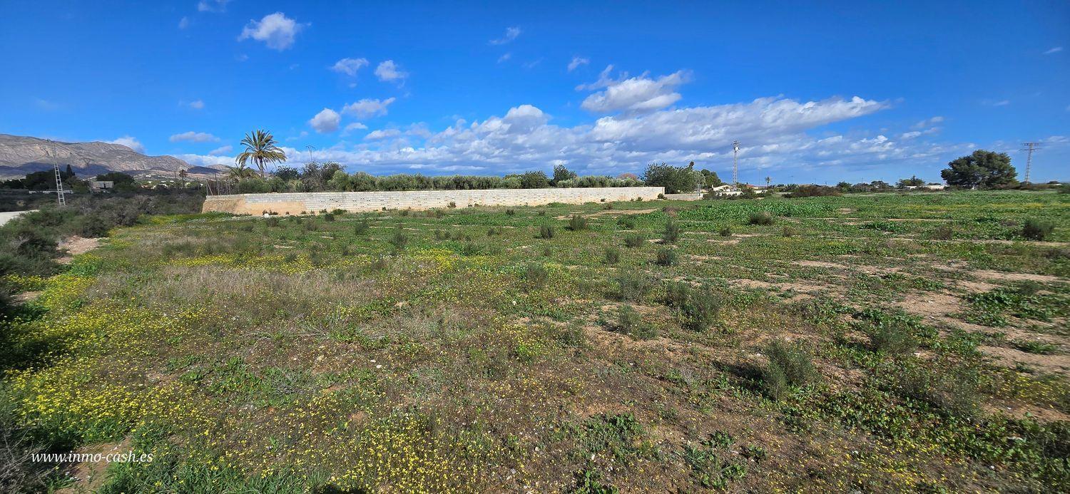 Terreno rural